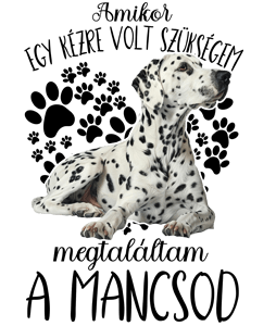 Megtaláltam a mancsod Dalmata