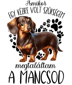 Megtaláltam a mancsod Hosszúszőrű tacskó