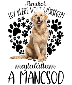 Megtaláltam a mancsod Golden retriever