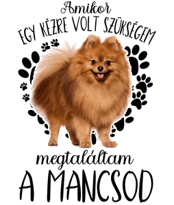 Megtaláltam a mancsod Pomerániai Törpe Spicc