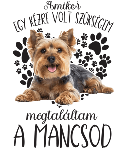 Megtaláltam a mancsod Yorkshire terrier