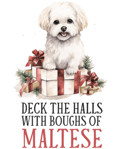 Máltai spitz Karácsony