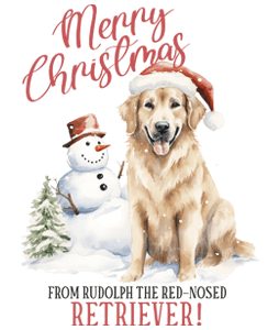 Golden retriever Karácsony