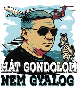 Gondolom nem gyalog (Lölő&zebra)