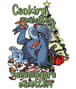 Csokira születtem karácsonyra edzettem