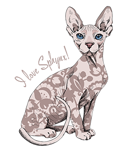 I Love Sphynx