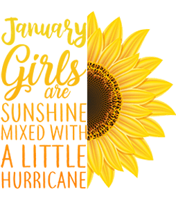 January sunshine and hurricane