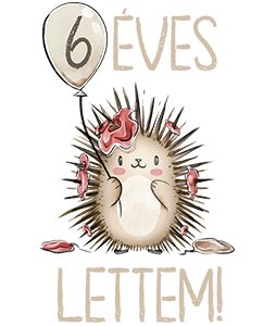 6 Éves Lettem