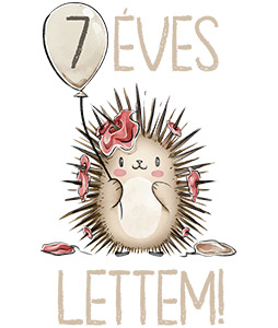 7 Éves Lettem
