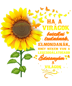 Legcsodálatosabb Anya