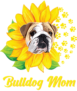Sunflower Angol Bulldog