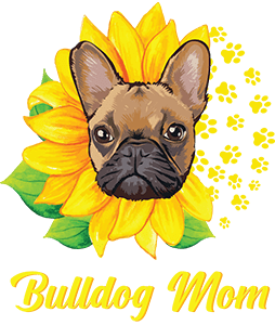 Sunflower Francia Bulldog