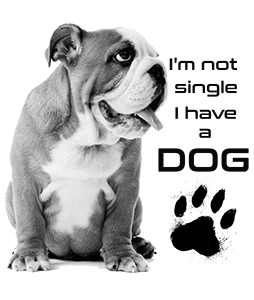 Not Singli Angol Bulldog