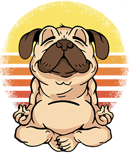 Bulldog Meditáció
