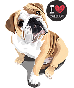 I Love English Bulldog