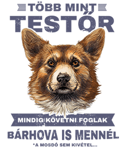 Több mint Testőr Corgi