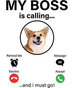 My Boss Calling Corgi